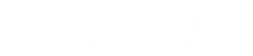 BlackStyx Capital